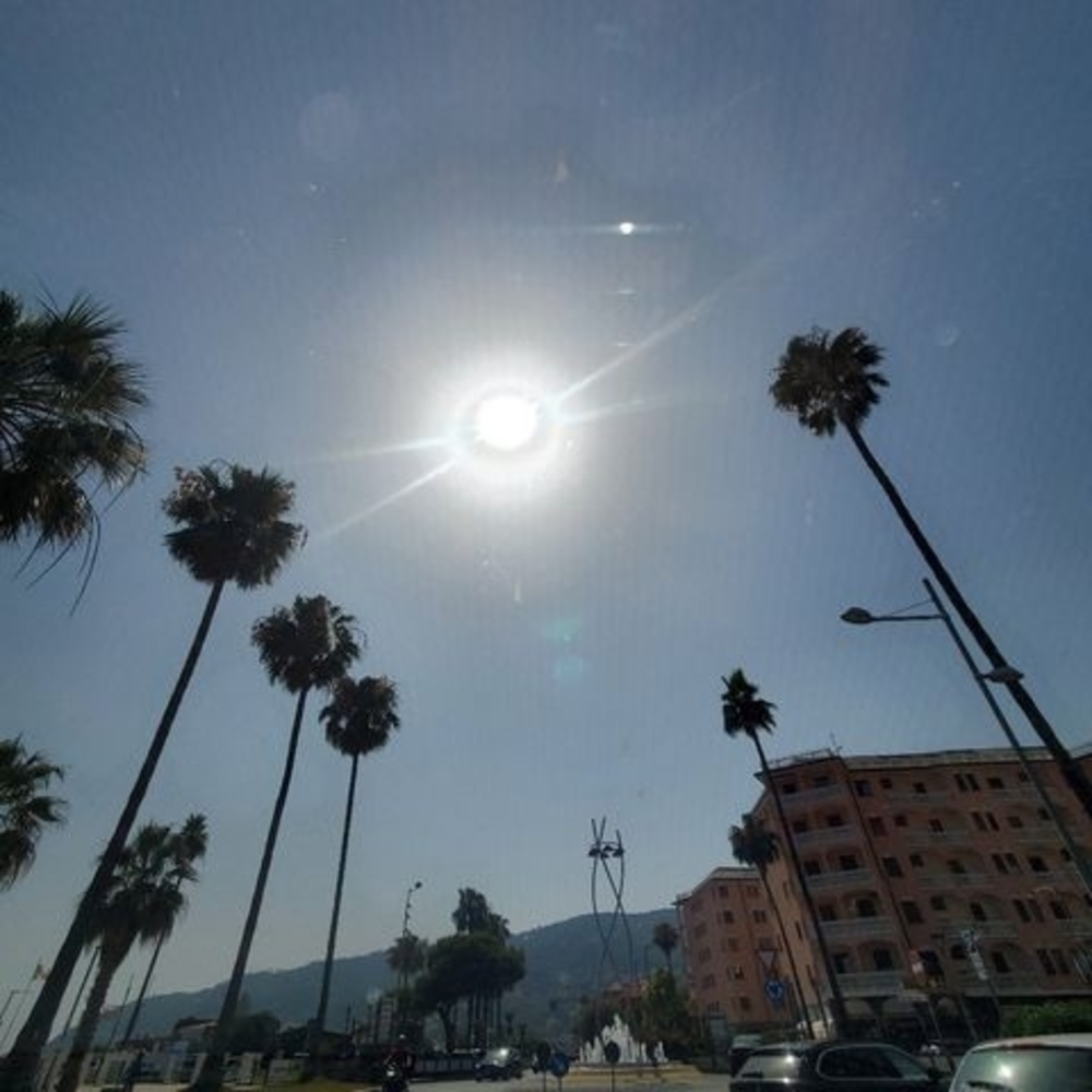 Meet your Posher, Charlotte